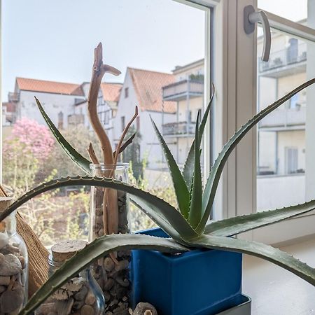 Strelapartment By Meinke Mitten In Der Altstadt Stralsund Zewnętrze zdjęcie