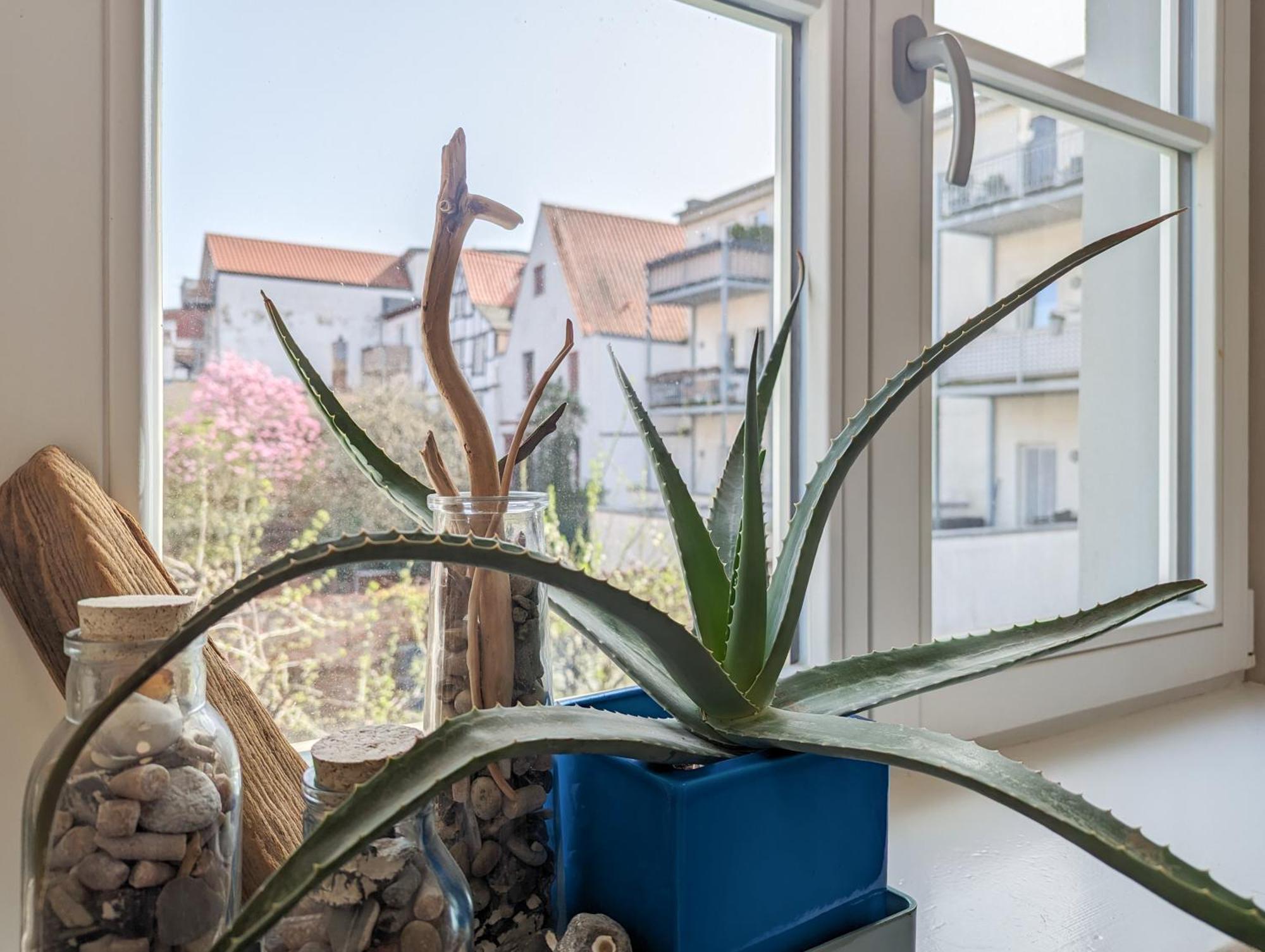 Strelapartment By Meinke Mitten In Der Altstadt Stralsund Zewnętrze zdjęcie